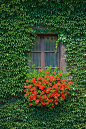 Window detail along the Rhine River, Germany - IrvineHomeBlog: 