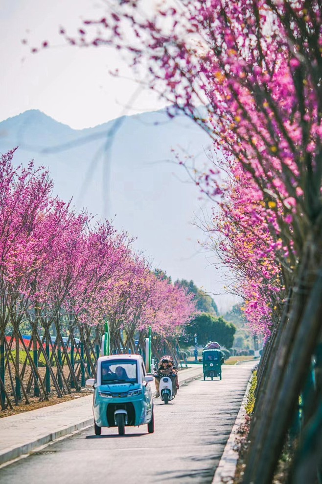 微信图片_20230316100903
