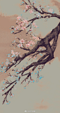 银色骐骥-手绘
四月 · 樱