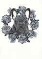 French Bulldog Tattoo Design , Frenchie Tattoo Design , sketchbook page by Jeroen Teunen , the Dog Painter.