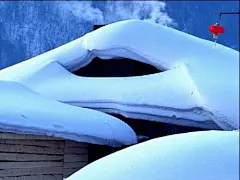 踏雪寻欢 找个冬日去东北雪原放肆撒欢