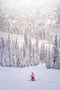 Winter fun | HD photo by Aaron Benson (@aaronbphoto) on Unsplash : Download this photo by Aaron Benson (@aaronbphoto)