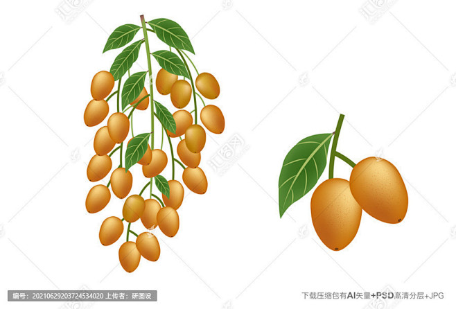 一串黄皮果