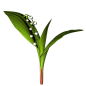 62.png (700×700)_急急如率令-B35194457B- -P1062110542P- #率叶插件 - 批量采集#