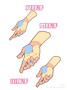 手部结构-花瓣网|陪你做生活的设计师