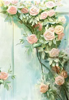 月季花-志设网-zs9.com