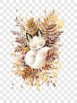 睡在树叶上的猫效果元素PNG图片 来自PNG搜索网 pngss.com 免费免扣png素材下载！
