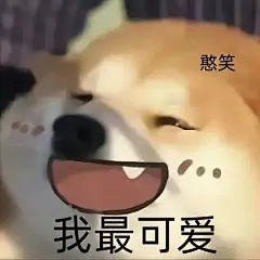 (4 封私信 / 34 条消息) 柴犬表情包 - 搜索结果 - 知乎