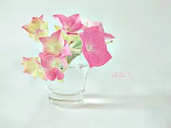 时光静好