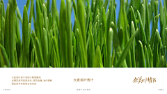 xjotvhJsgxrtngseDfjm采集到&零食/代餐&