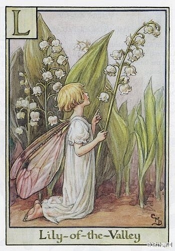 插画师Cicely Mary Barke...