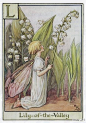 插画师Cicely Mary Barker绘制的花仙子，依次为：Apple Bloossom 苹果花、Bugel 筋骨草、Columbine 红色子柱花、Gorse 荆豆花、Iris 蝴蝶花，彩虹女神。Lily of the Valley 铃兰、Mallow 锦葵、Nasturtium 旱金莲、Thrift 海石竹