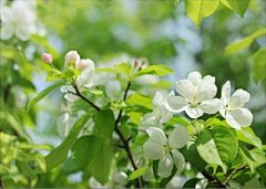 夏東堯采集到晚安