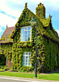 vwcampervan-aldridge:

Boston Ivy covered gatekeepers cottage, Dartmouth Park, Sandwell, England
All Original Photography by http://vwcampervan-aldridge.tumblr.com