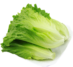 Lt1nvDVC采集到免抠水果蔬菜素材