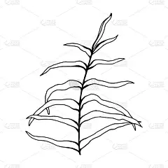 手绘树枝与叶子孤立在白色背景。装饰涂鸦素描插图。向量的元素。