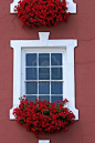 简单而惊人的红色花朵的窗台。