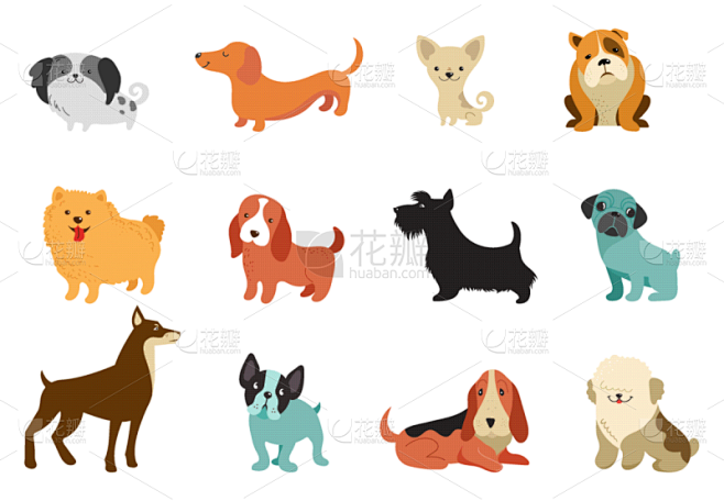 狗,幽默,可爱的,纯种犬,梗犬,哺乳纲,...