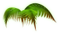Eff_zhiwu