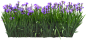 FA23菖蒲副本
