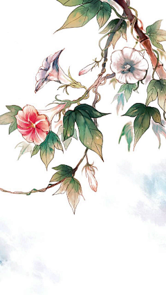 徐清风采集到封面素材