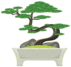 (源站可下源文件)白色背景盆景树/Bonsai tree in pot on white background
