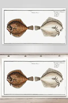 复古手绘海洋鱼类海鲜海鱼手账贴纸素材