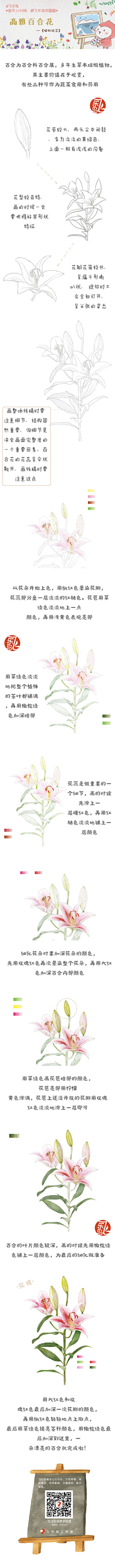 忧桑蛋采集到H-画画素材-彩铅-技法