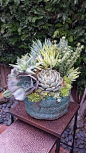 Arrangement by Monica Barry in a pot by Susan Aach Ceramics