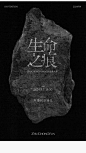 zhuchongyun旗舰店