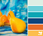 Design Seeds Color Palettes.