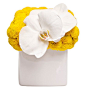 White orchid with cute yellow mums by Jennifer McGarigle