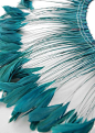 Turquoise Stripped Coque Feathers 6-8" tall 12" Strung Length  $28. excellent to use for the masks and the other things