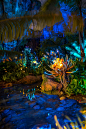 Pandora_-_The_World_of_Avatar_at_night_at_Disney's_Animal_Kingdom_(11)