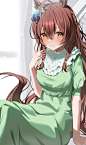 收藏[3981]PID[98948145]_标题[メジロブライト]画师[にんげんまめ]UID[38297201]