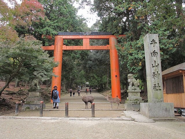 奈良公园从东大寺通往春日神社的鸟居（鸟居...