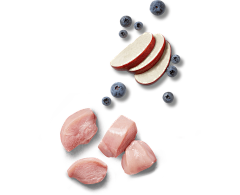 Cenan采集到食物素材
