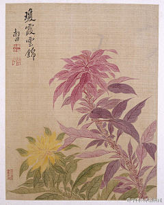 草堂话旧（采集到工笔画（清 恽寿平）