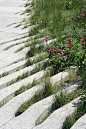 The High Line, Diller Scofidio & Renfro, 2009. Photo: Christian Marc Schmidt