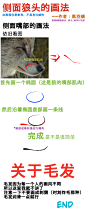 【图片】【教程】狼头侧面画法（猛风）【狼绘吧】_百度贴吧