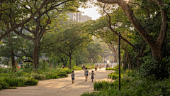 celosia采集到B-park\plaza