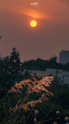 请诗采集到风景素材