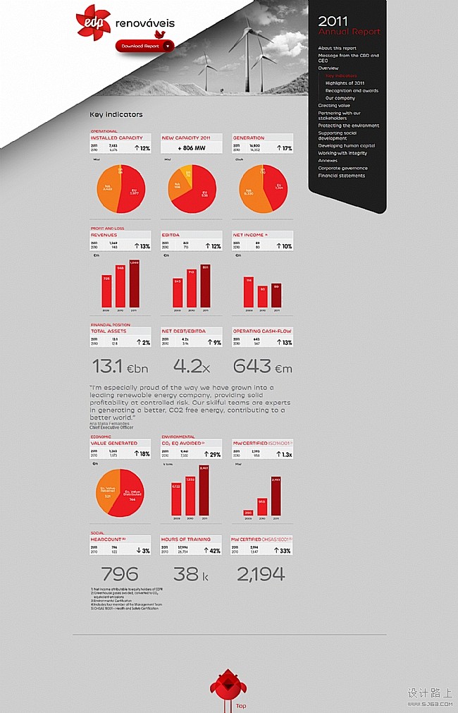 2011annualreport　网站截...