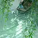 插画精选 国风画师‍伊吹五月 - 小红书