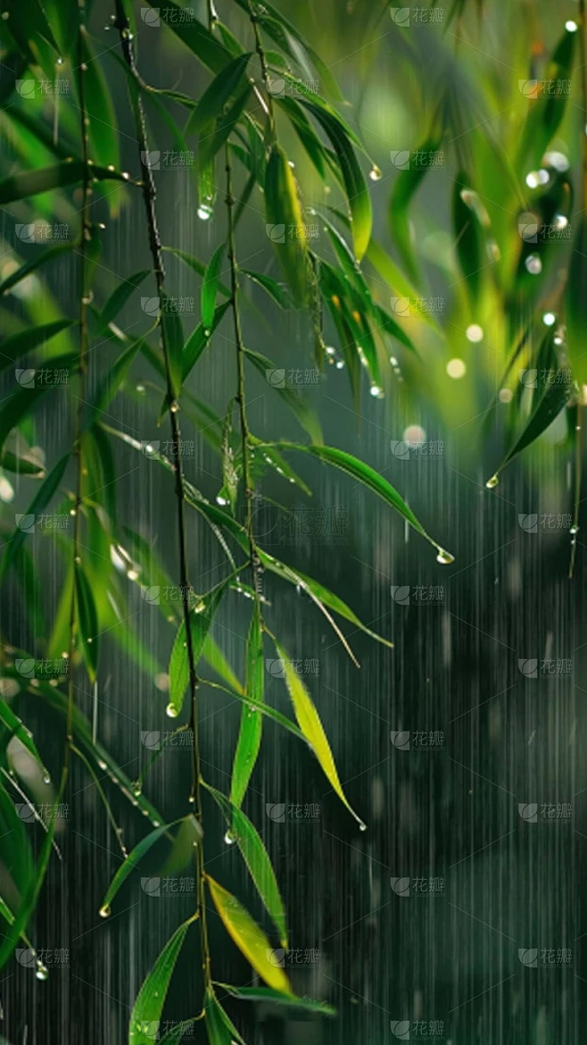 清明节清明实景雨天柳树背景场景图片素材