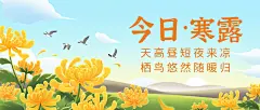 寒露节气祝福赏菊习俗白鹭手绘首图