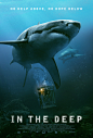 Mega Sized Movie Poster Image for 47 Meters Down (#3 of 3)