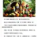 中国商界十大经典营销 - 梅花网 资讯站