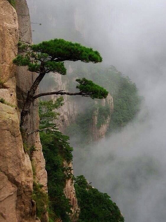 五岳归来不看山，黄山归来不看岳