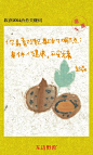 东边绿洲 ｜ 携一颗幸运孢子，一起去2024吧